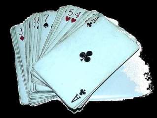 received_2329557637077958